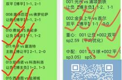 开云体育下载-奥地利对阵波兰，实力对比令人期待