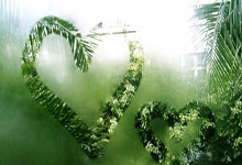 开云平台-铁壁浙江封锁天山雄鹰，爱德华兹一剑封喉成关键先生